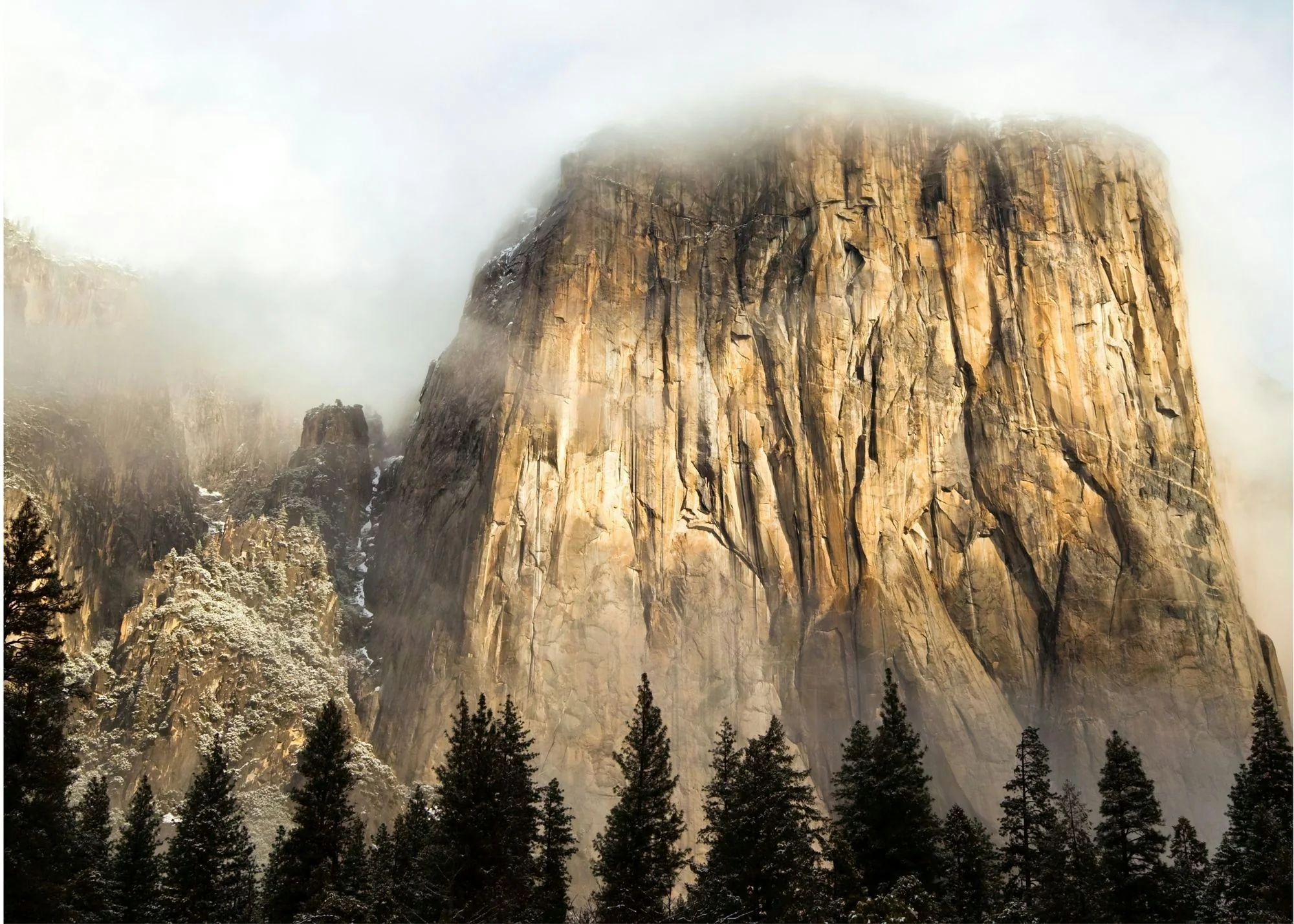 2-Day Yosemite Tour with Yosemite View Lodge Hotel Stay - Image 2