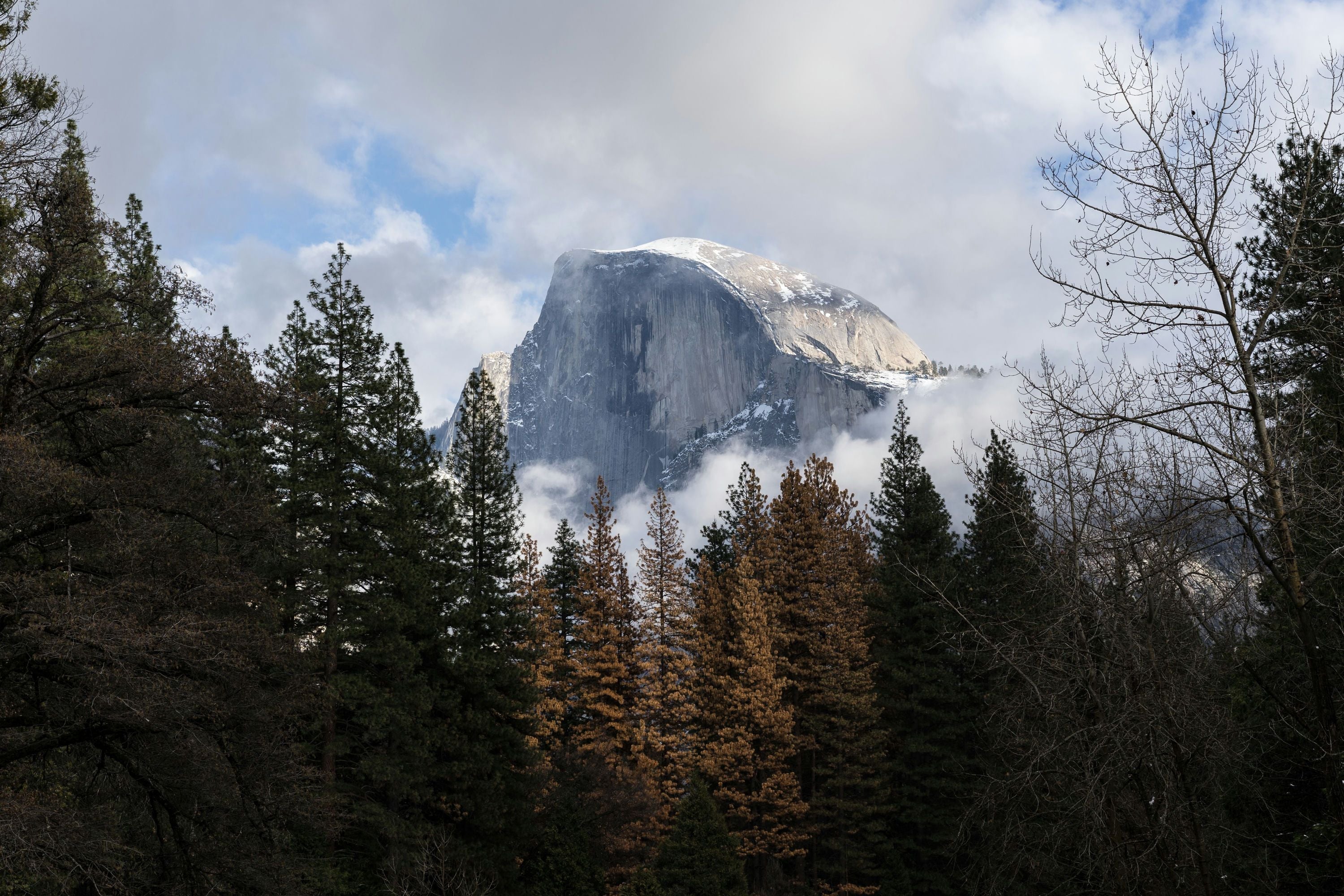 2-Day Yosemite Tour with Yosemite View Lodge Hotel Stay - Image 7