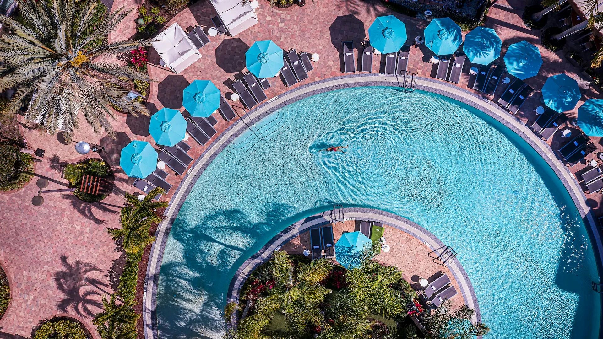 2 Nights in Orlando + Michelin Dining Experience: Savor the Sunshine State - Image 8