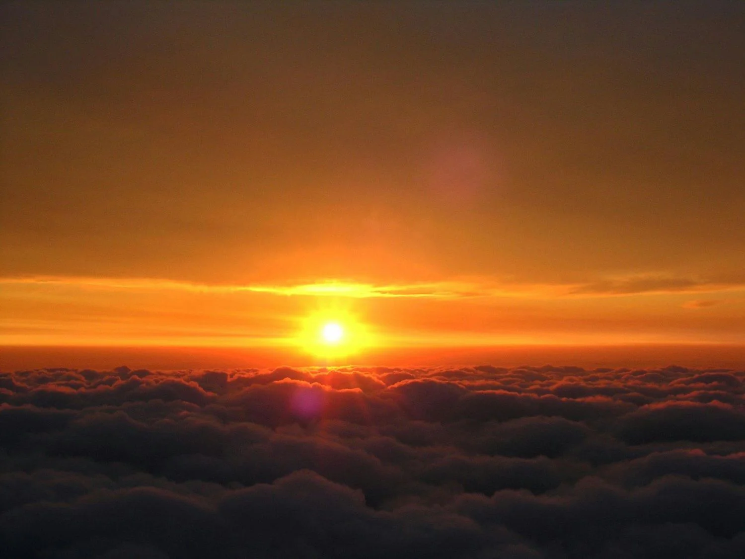 A Texas Sky Odyssey Plane Tour with Option to Fly - Image 4