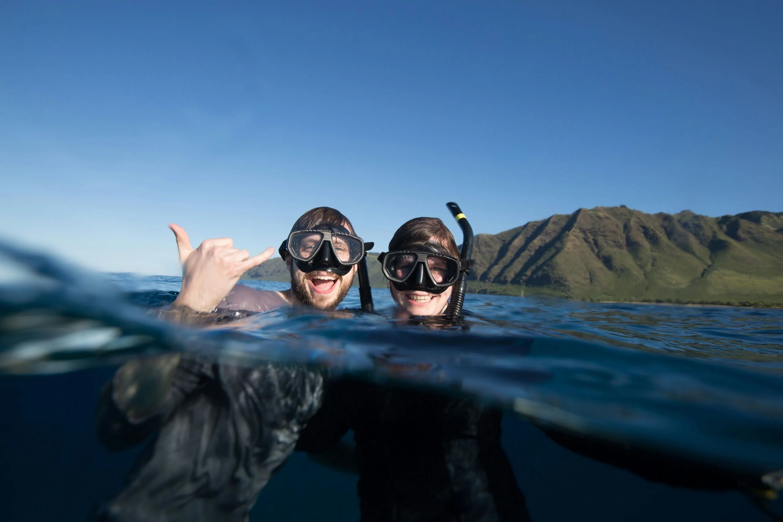 Afternoon Sea Turtle Safari - Image 4