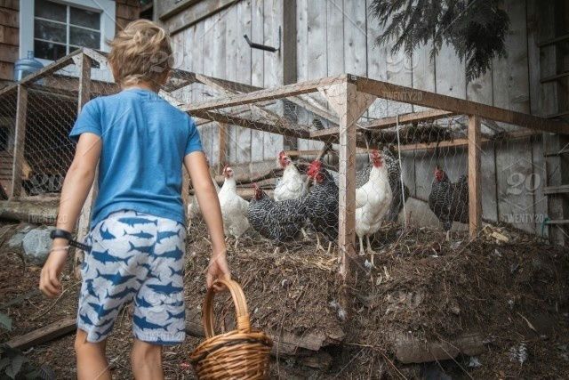 Animal Husbandry - Morning Session - Image 3