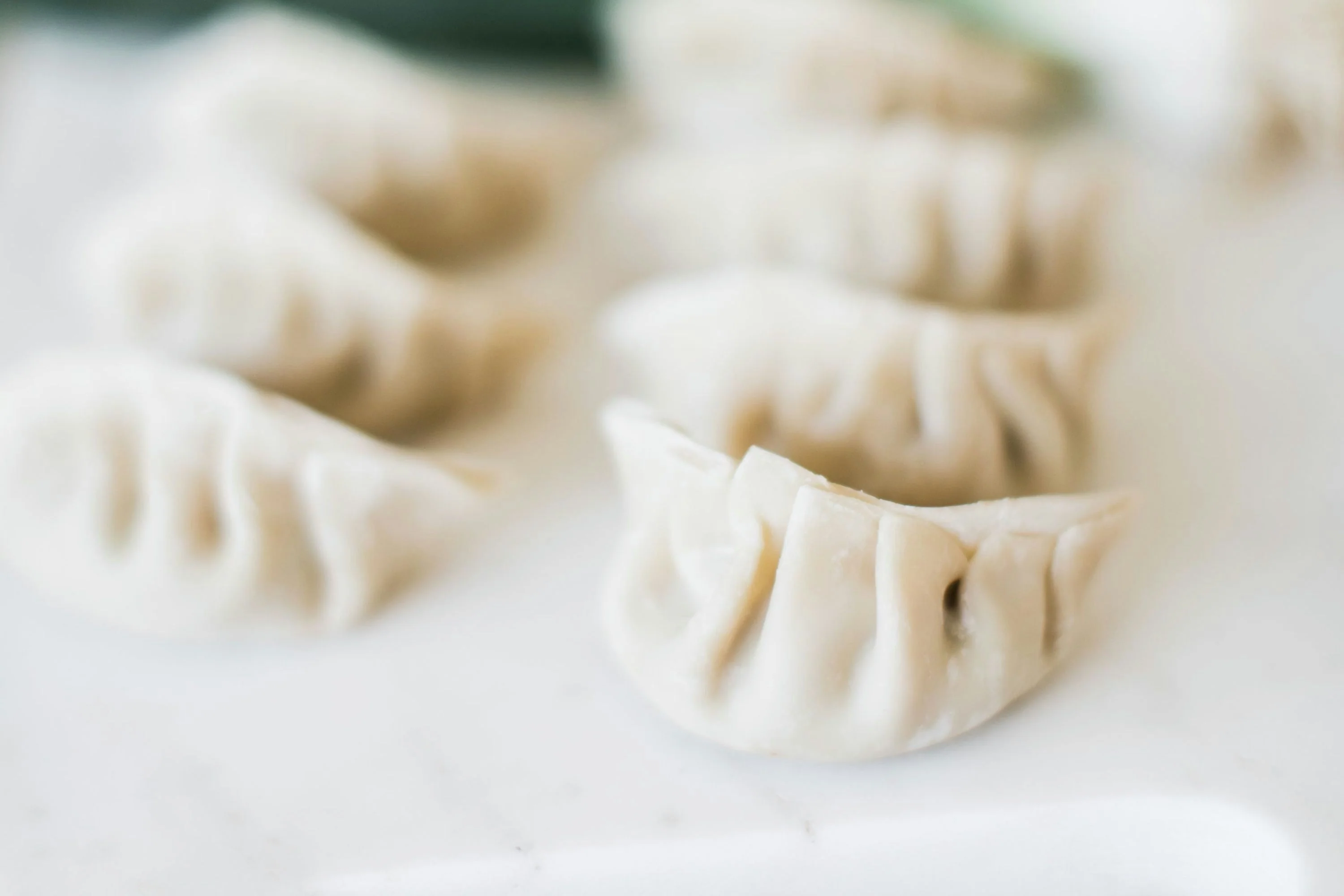 Asian Dumplings Cooking Class in San Antonio - Image 2