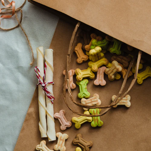 Bake for Your Pup: Dog Treats Cooking Class in NYC - Image 2
