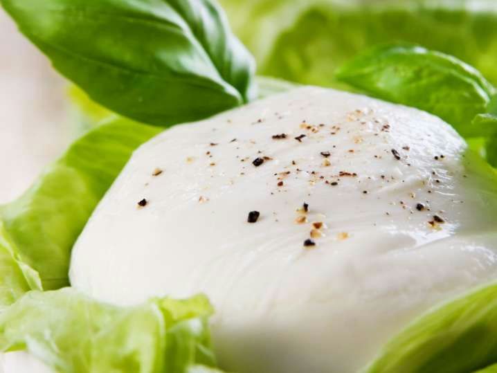 Baltimore Mozzarella Cheese Making Class - Image 4