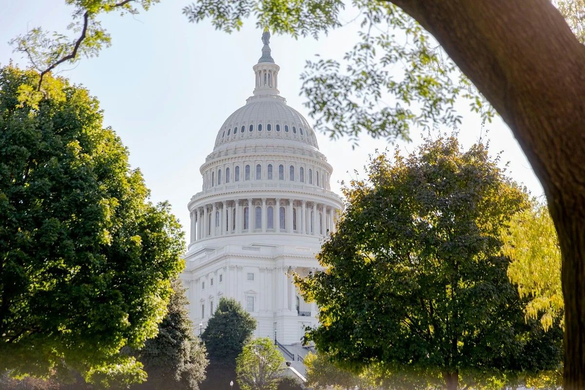 Best of DC VIP Tour with National Archives and Capitol Building Access - Image 2