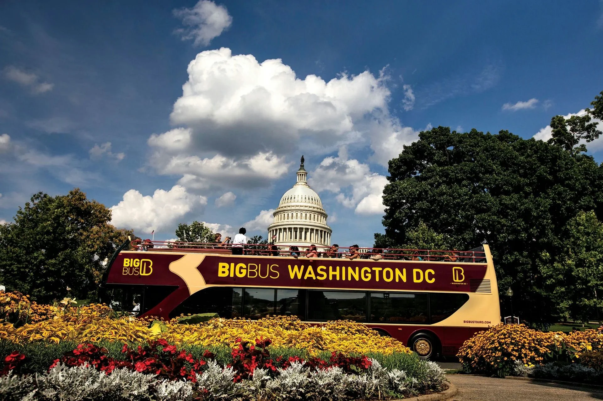 Big Bus Combo Tour The Best of DC 72
 Hour Pass with Sunset Tour - Image 4