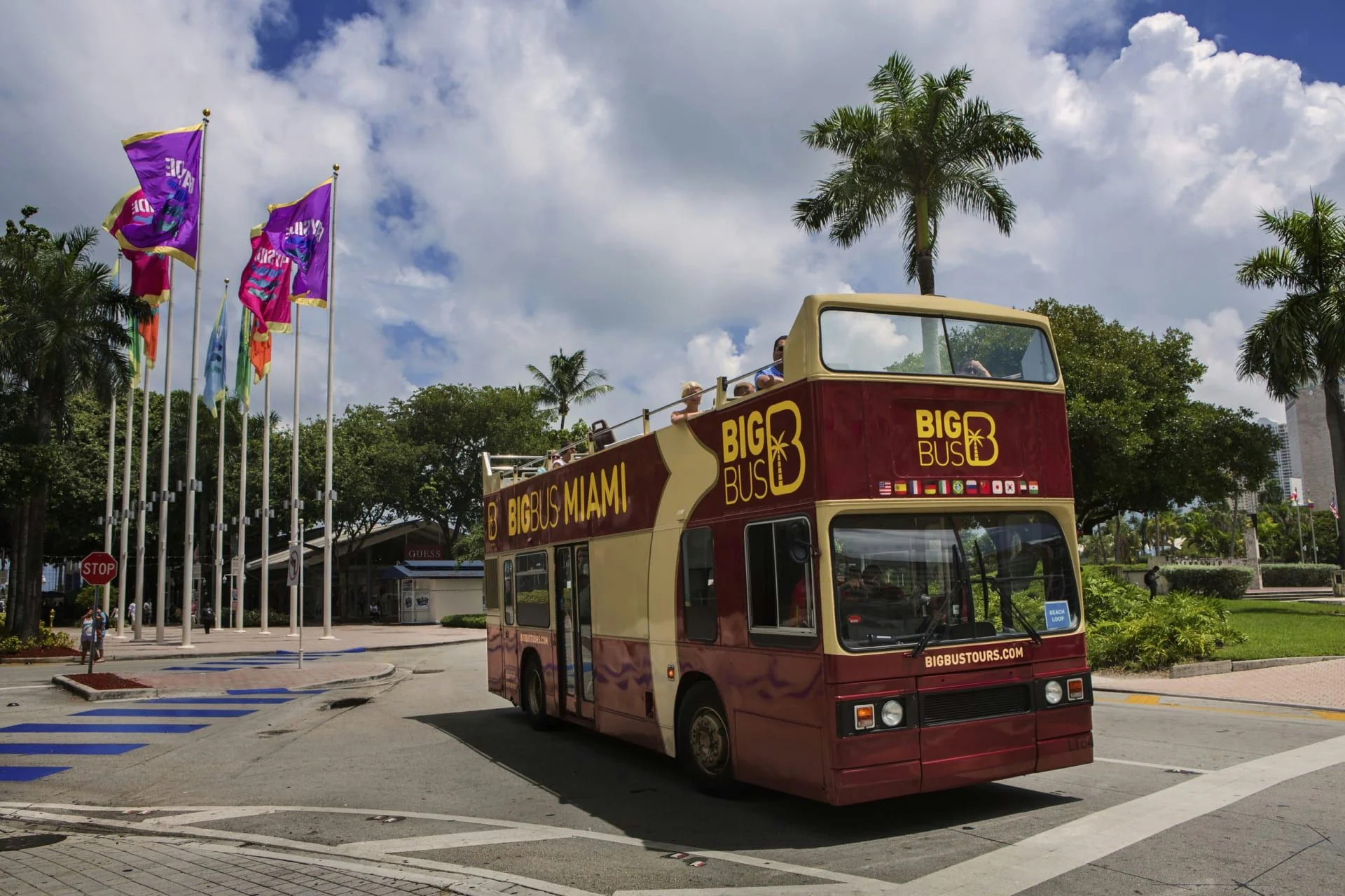 Big Bus Miami 24 Hour Discover Pass - Image 4