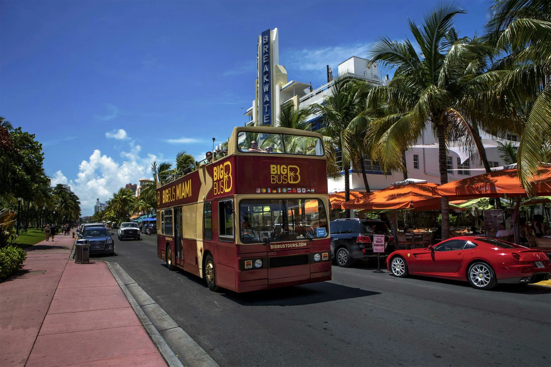 Big Bus Miami 48 Hour Explore Pass Plus Night Tour