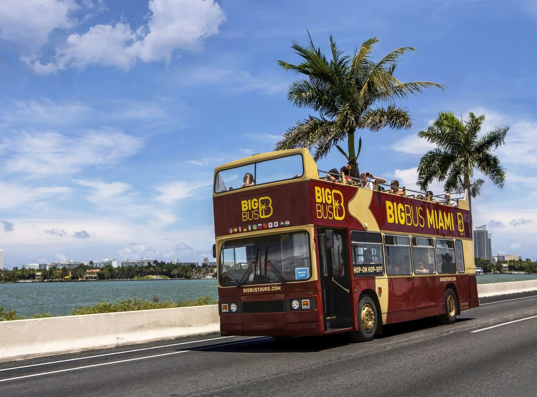 Big Bus Miami 48 Hour Explore Pass Plus Night Tour - Image 3