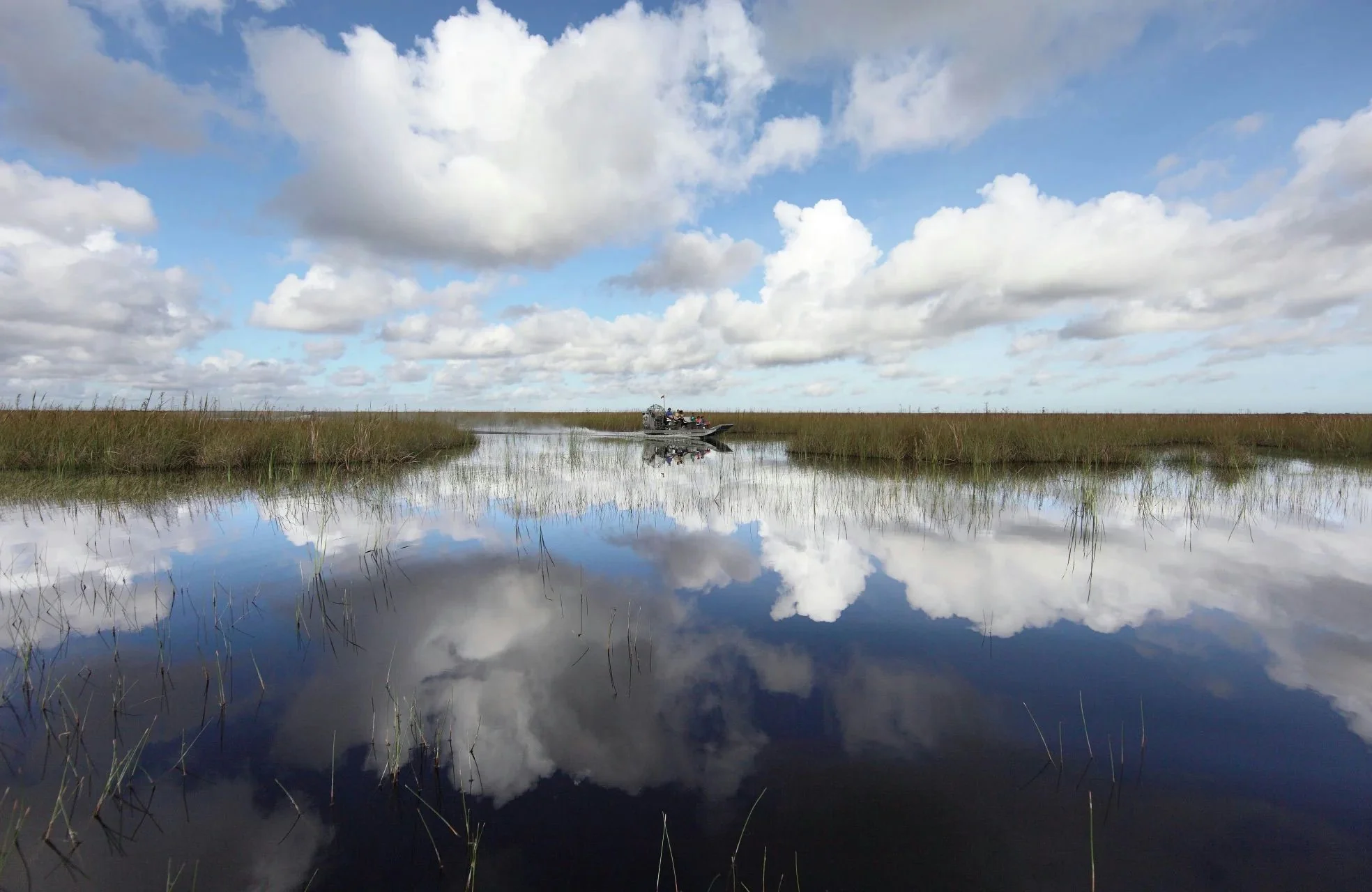 Big Bus Miami Everglades Experience Tour - Image 2