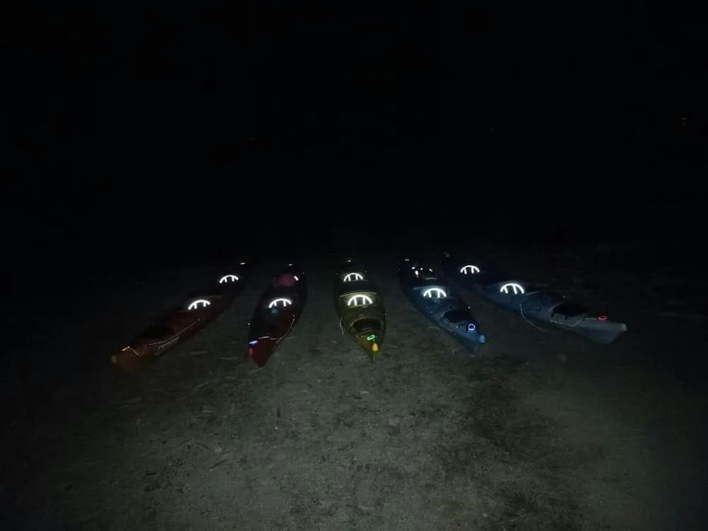 Bioluminescence Kayak Tour - Image 9