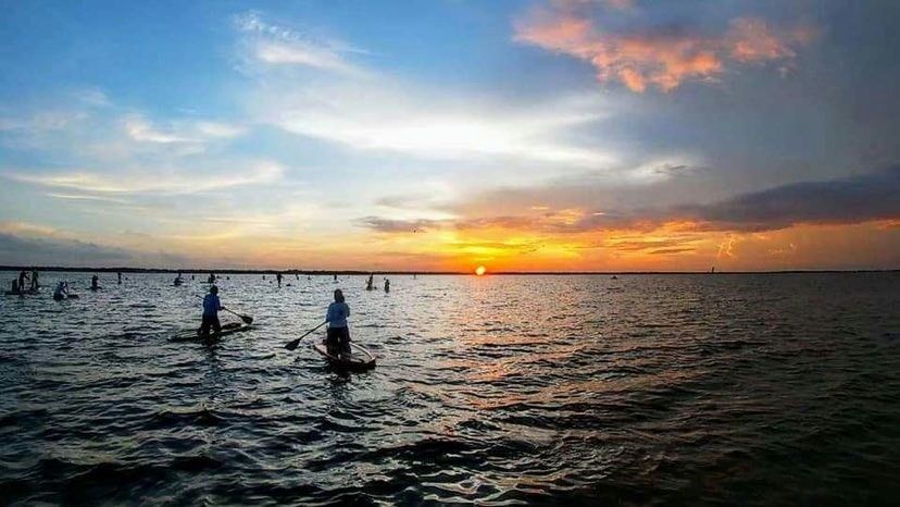 Bioluminescence Paddle Tour - Image 2