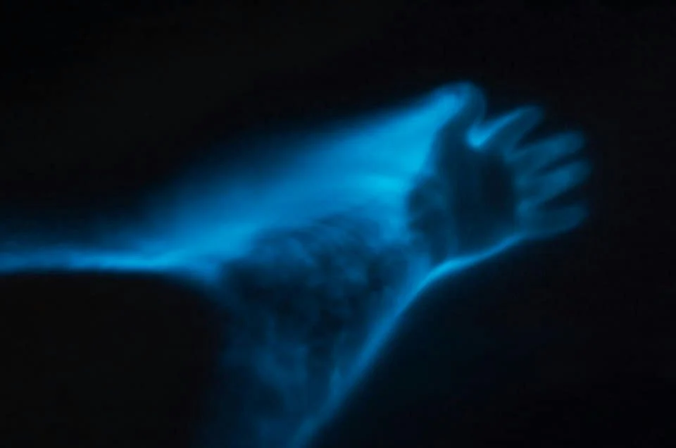 Bioluminescence Paddle Tour - Image 4