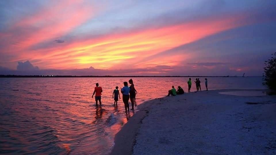 Bioluminescence Paddle Tour - Image 5