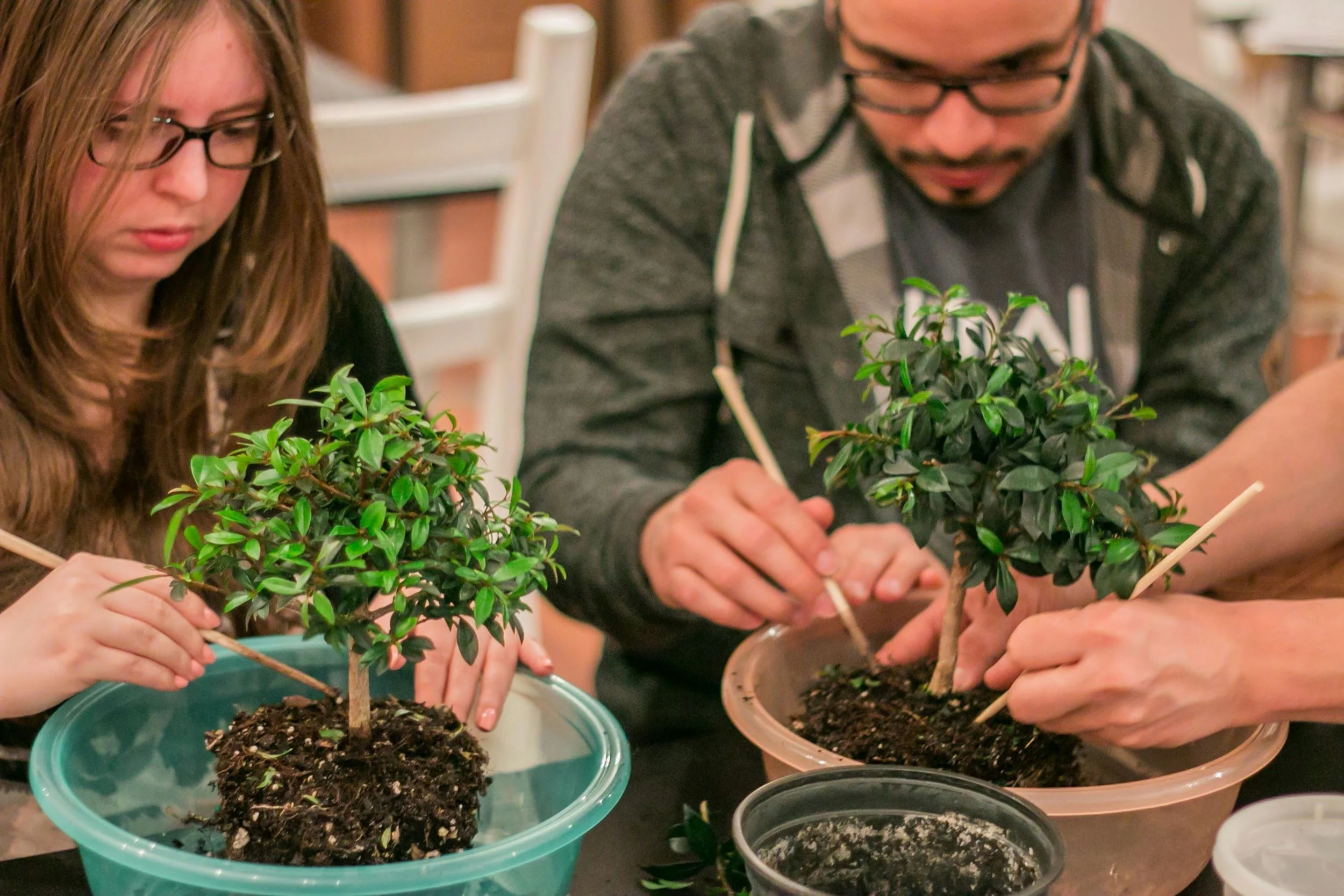 Bonsai Masterclass: Learn the Art of Bonsai in NYC - Image 4