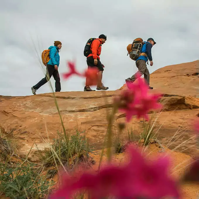 Canyon Hiking in Utah - Full Day - Image 2