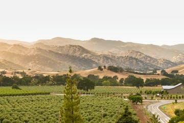 Capay Valley Farm Tour - Image 2