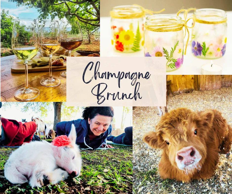 Champagne Brunch, Goat Yoga & Craft