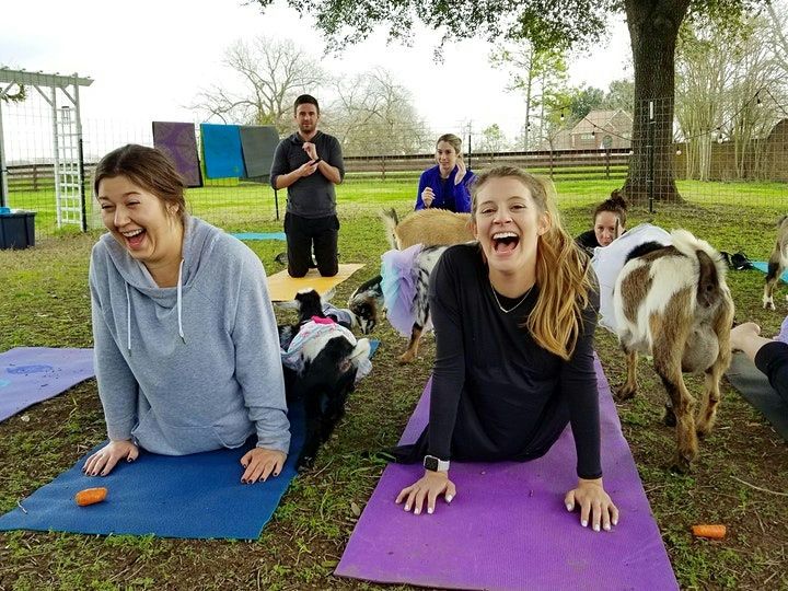 Champagne Brunch, Goat Yoga & Craft - Image 2