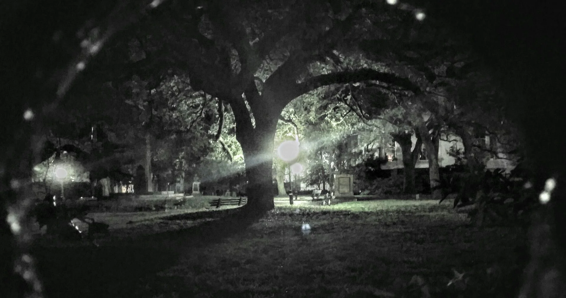 Charleston Dark History & Ghost Tour - Image 4