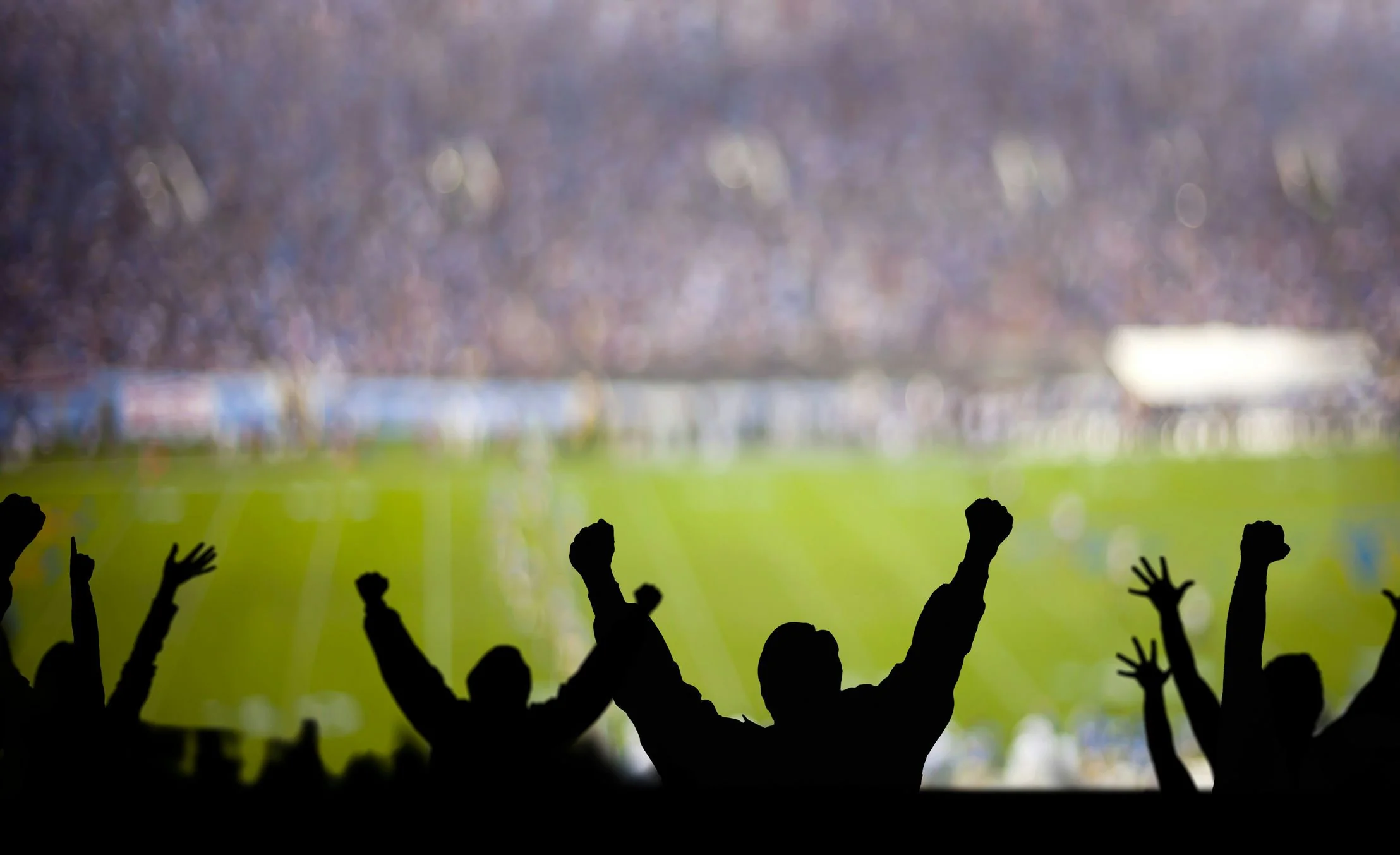 Chicago Bears Tickets - Image 2