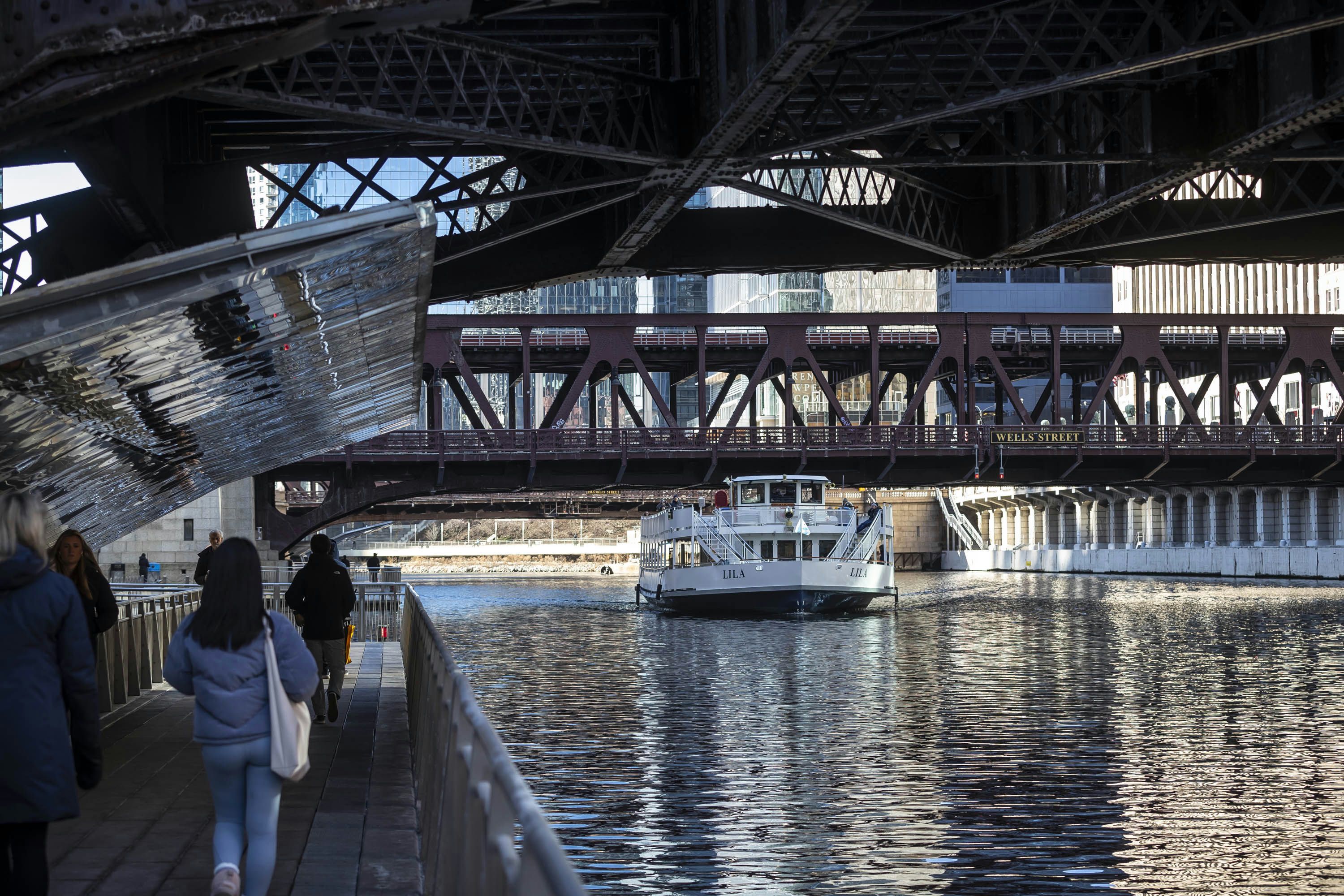 Chicago Food and Culture Walking Tour - Image 6