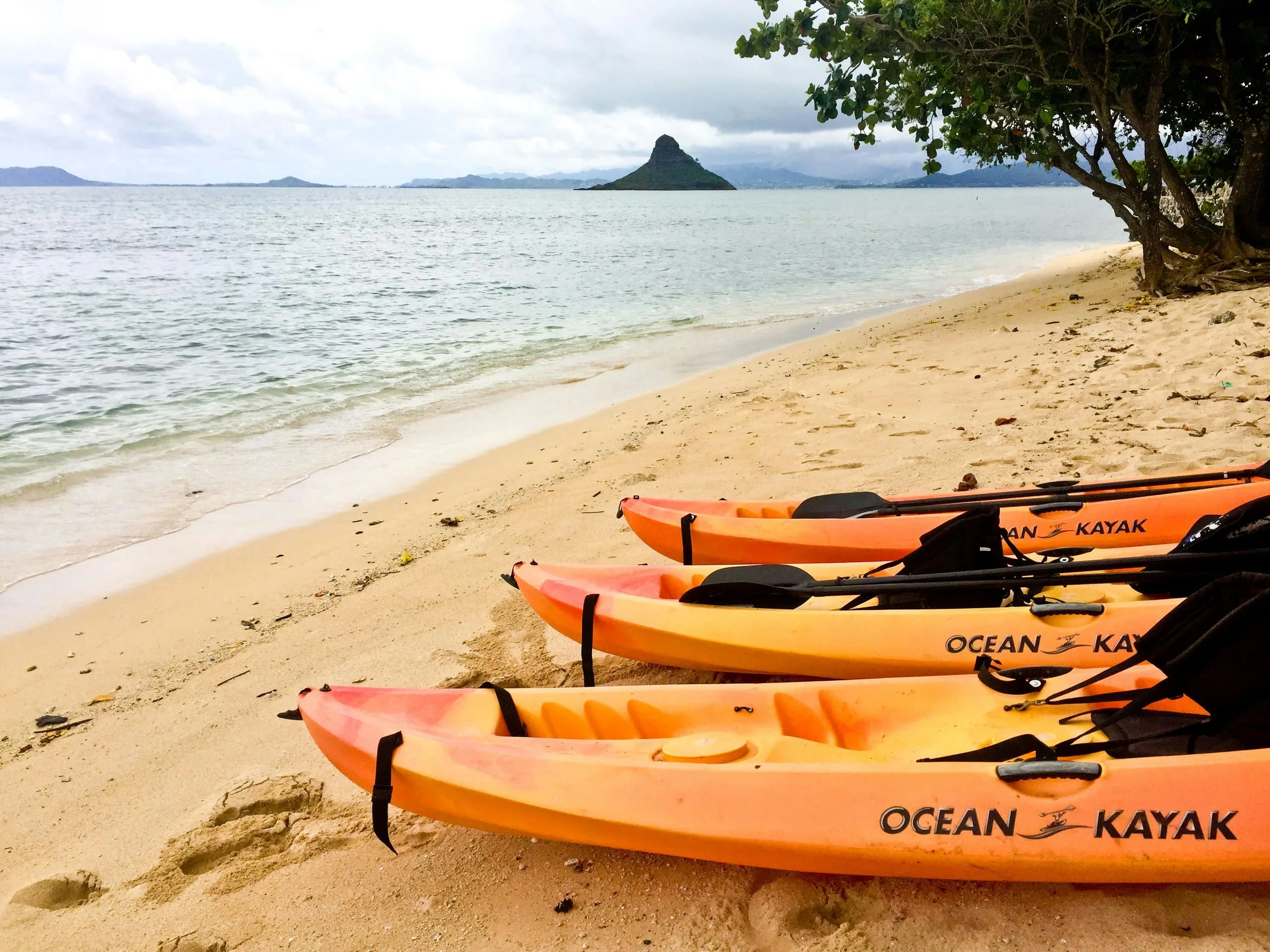 Chinaman's Hat Self-Guided Kayak Tour - Image 5