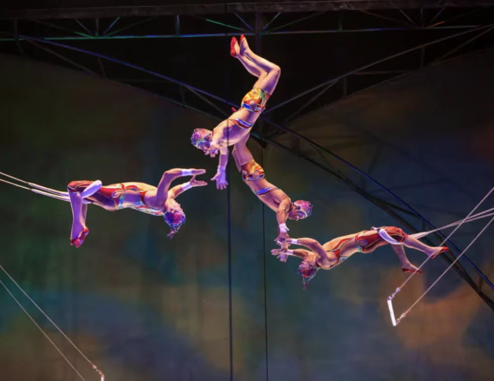 Cirque Du Soleil - Mystere - Image 5