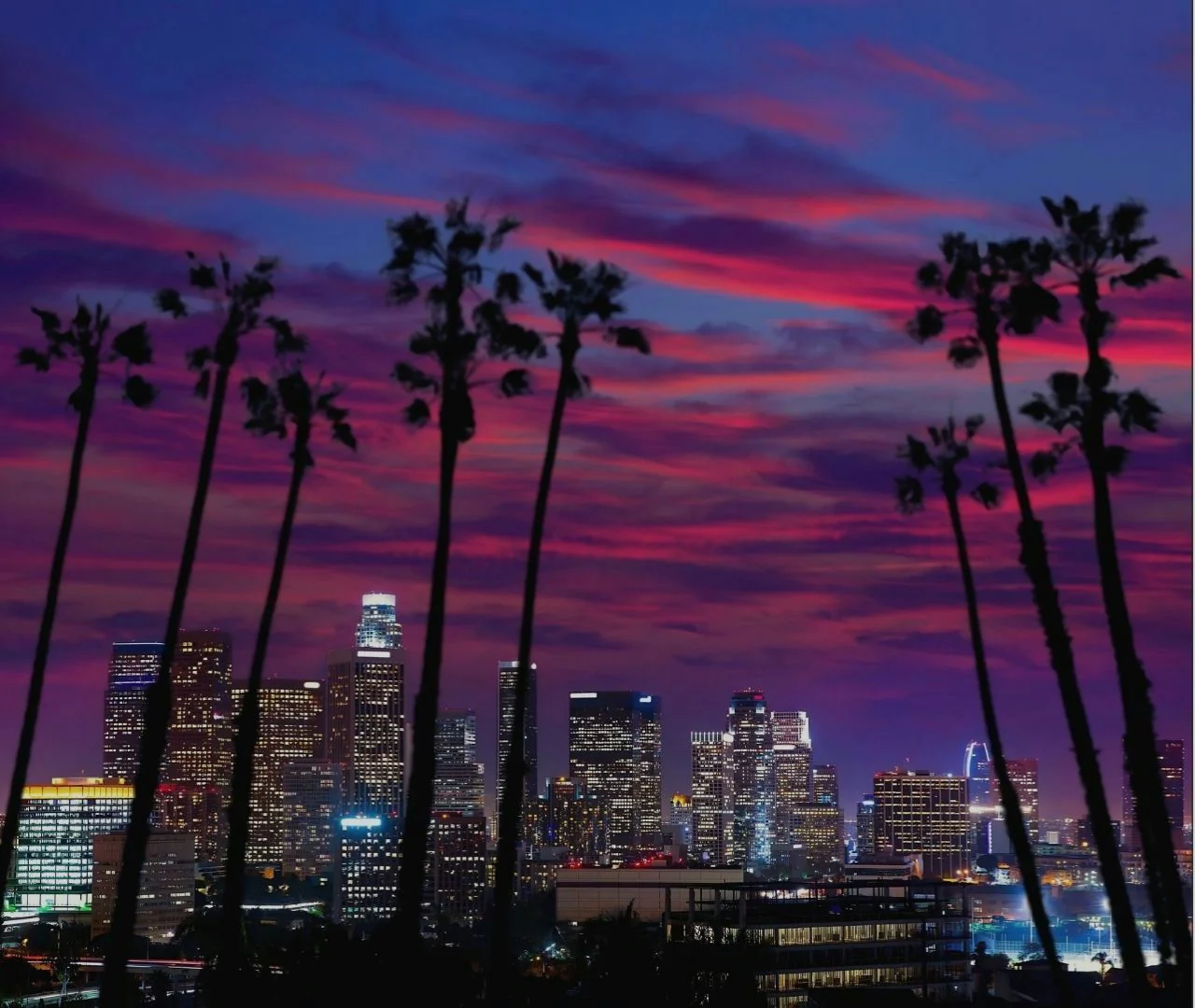 City Lights Night Tour of Hollywood - Image 5