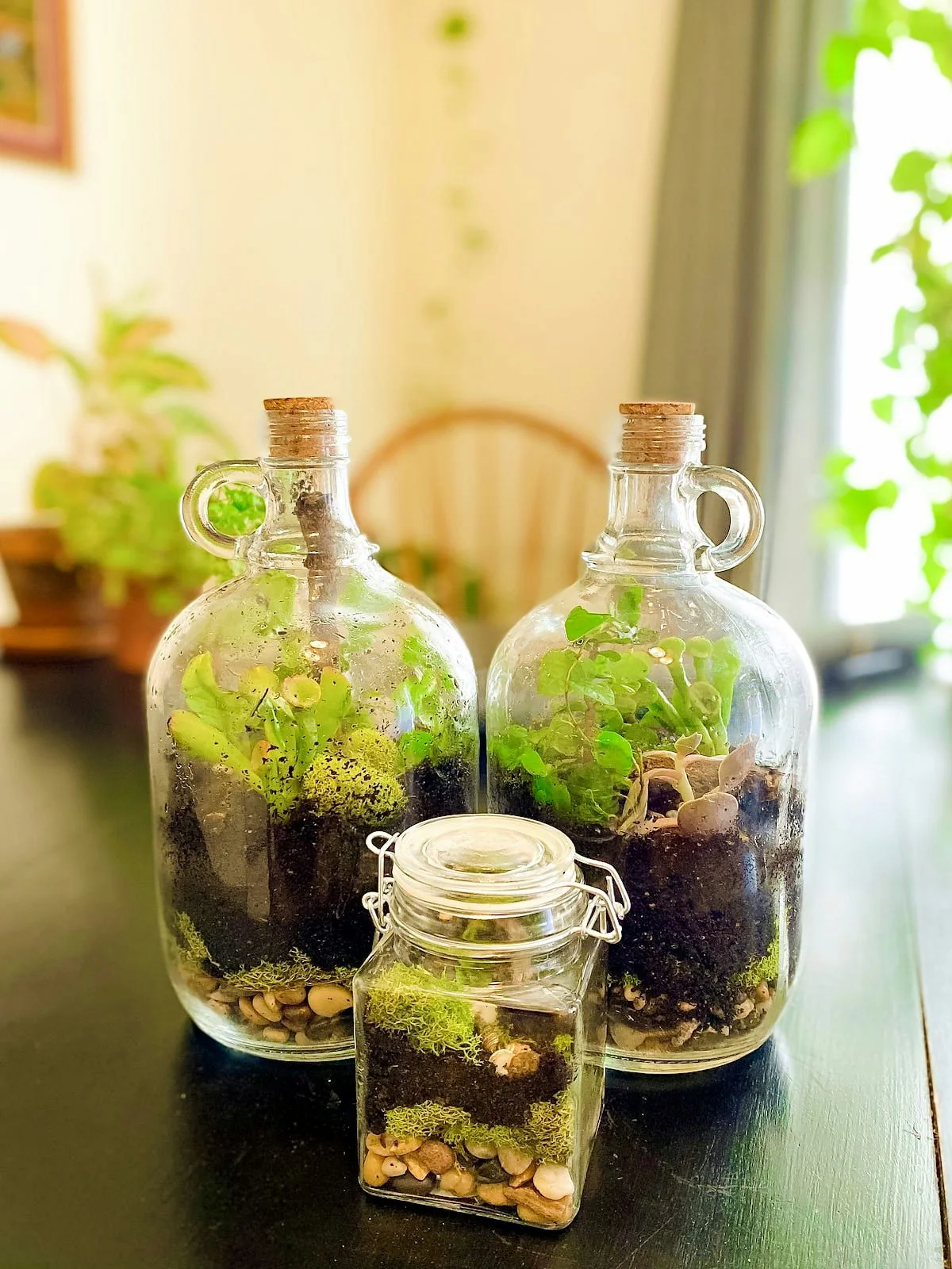 Closed Terrarium Workshop in San Francisco - Image 6