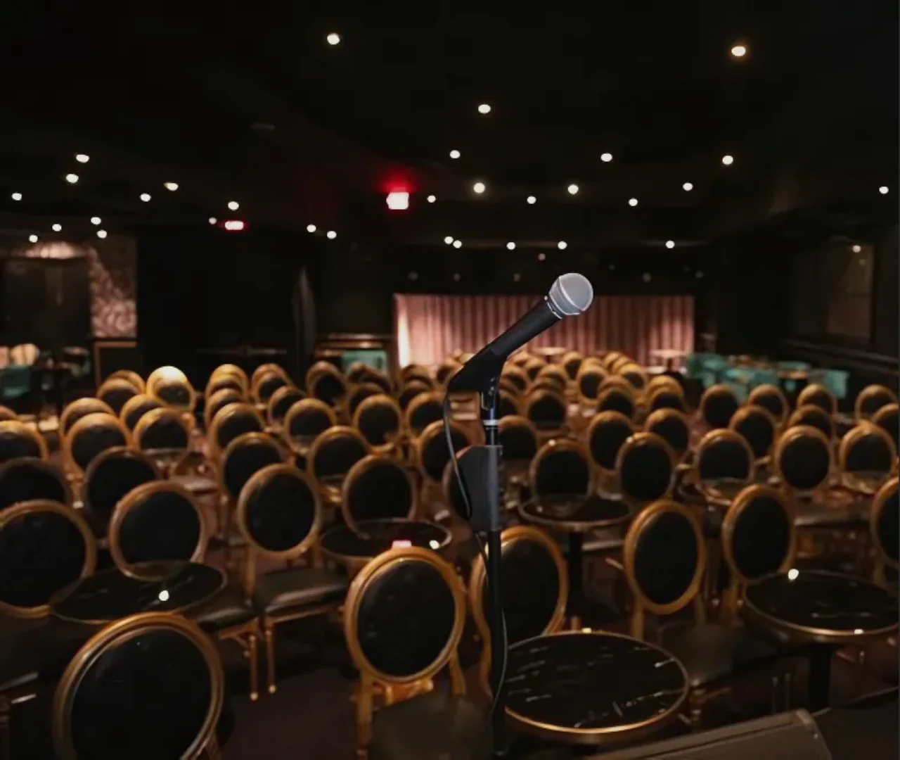 Comedy Show with Dinner & a Tour of Hollywood at Night - Image 3