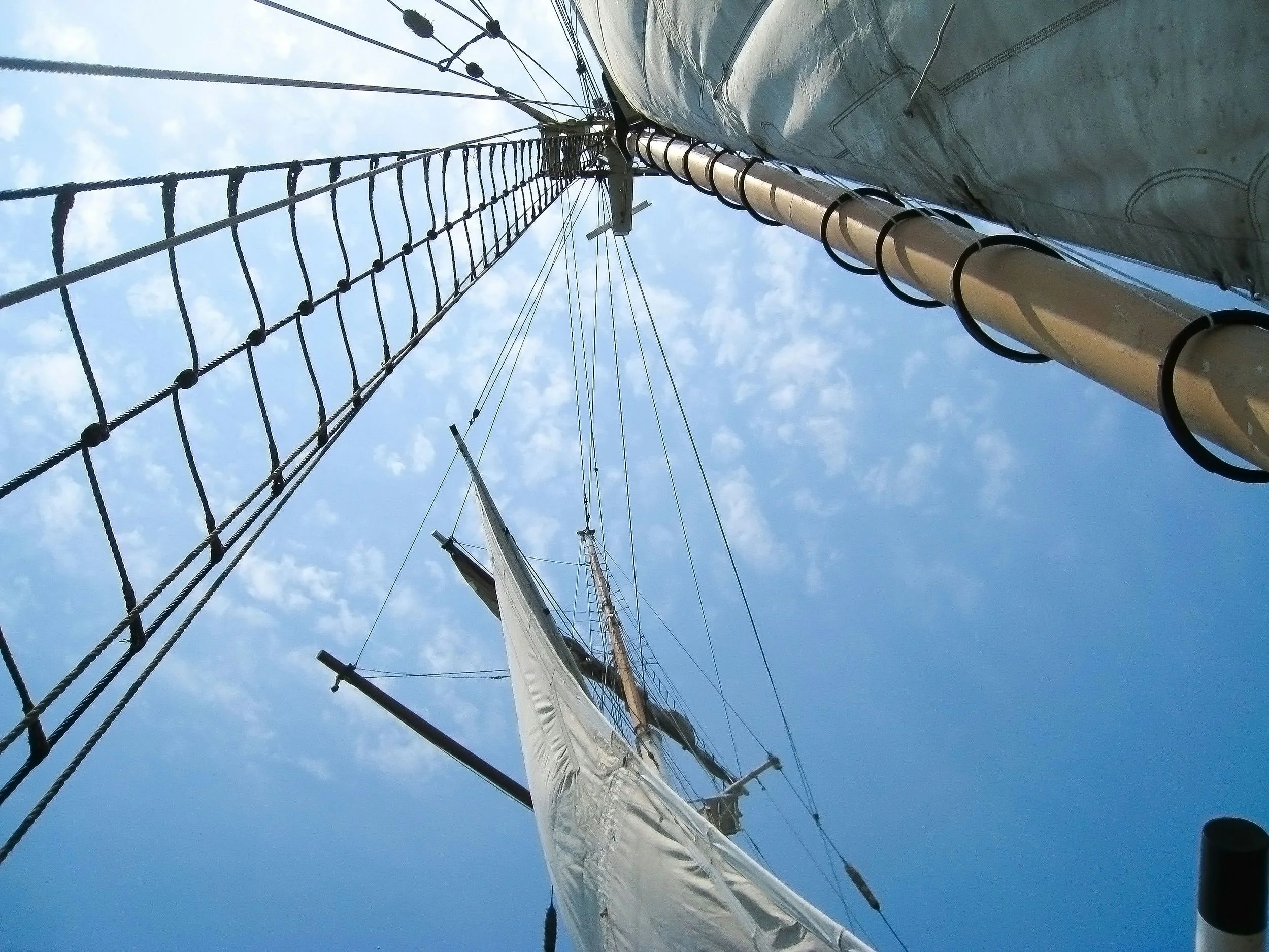 Craft Beer and Music Sail - Image 4
