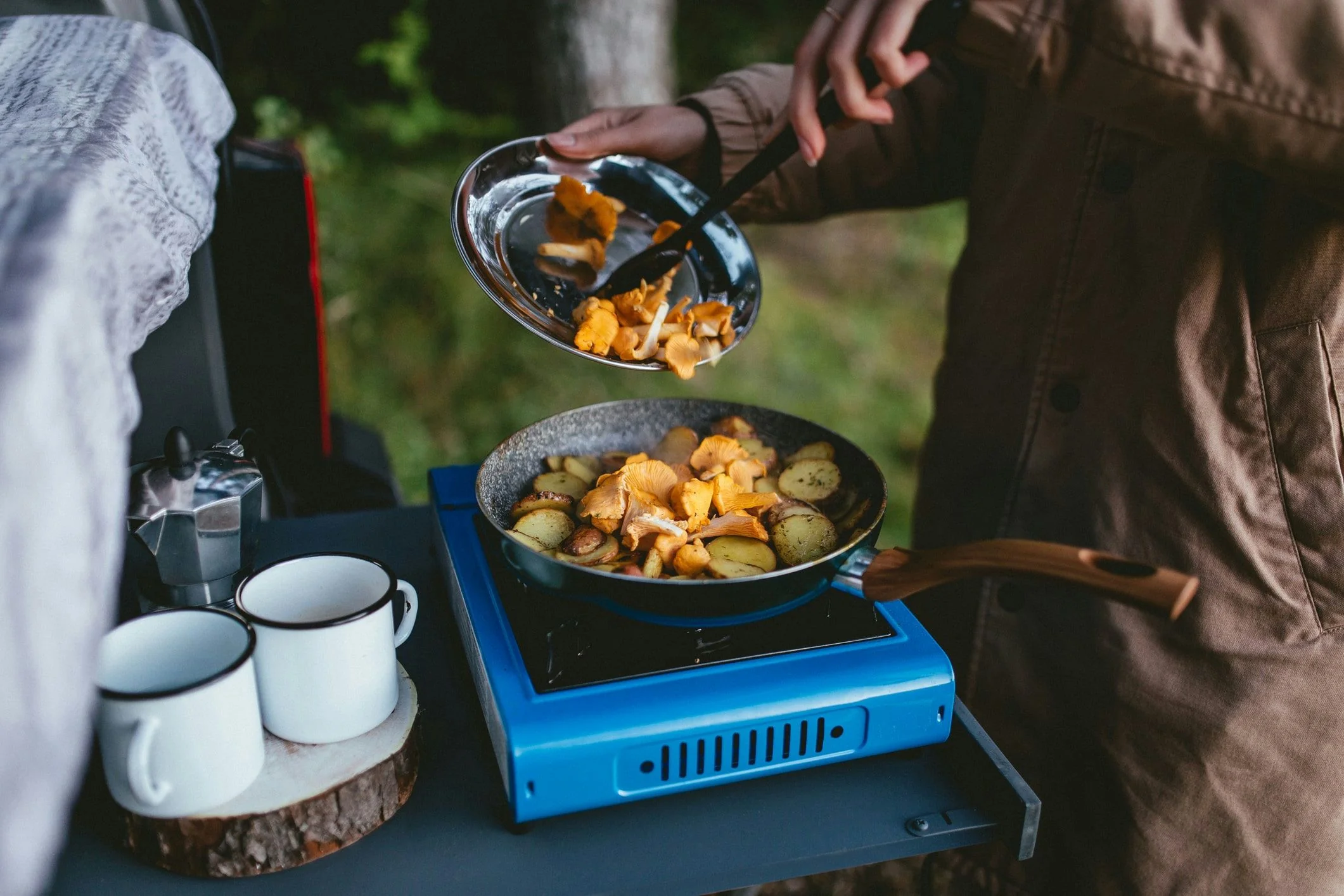 Crazy for Chanterelles Wild Mushroom Hunt - Image 3