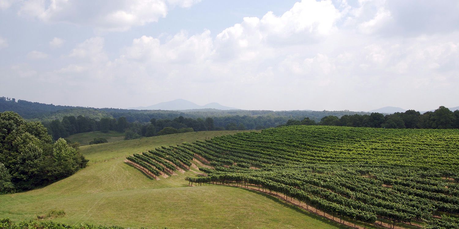 1-Night Dahlonega Mystery Weekend