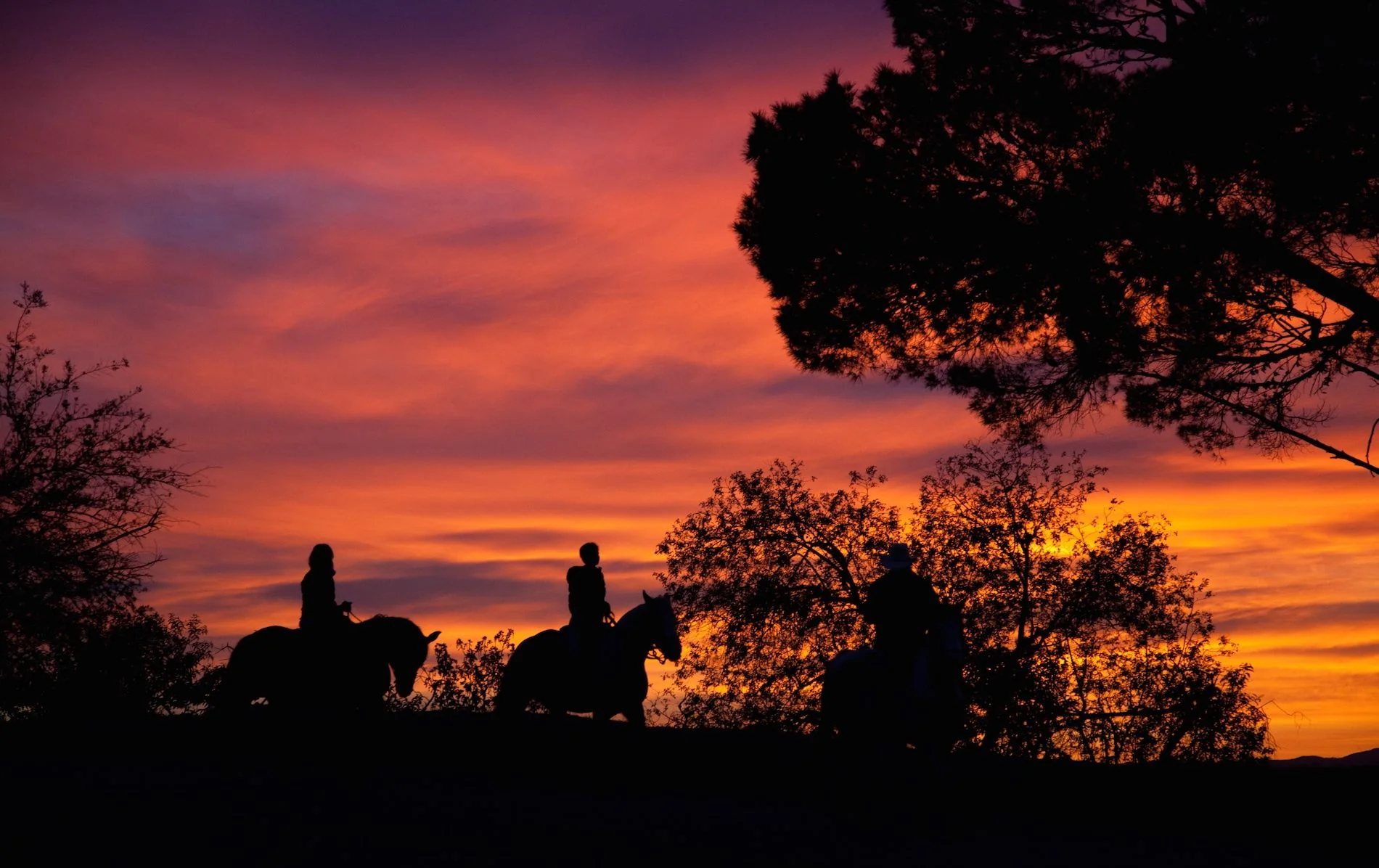 Date Night Horseback Riding Tour For 2 - Image 3