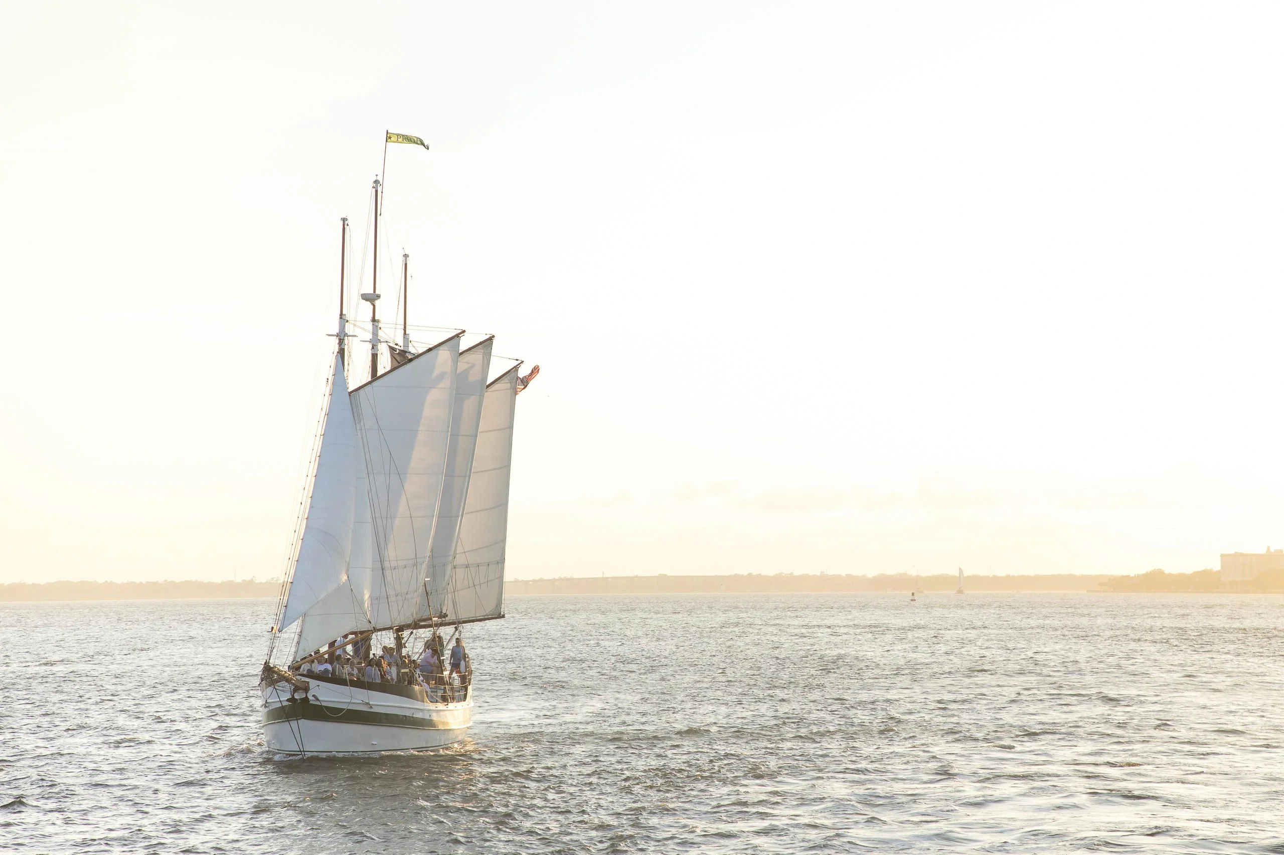 Daytime Dolphin Sail in Charleston