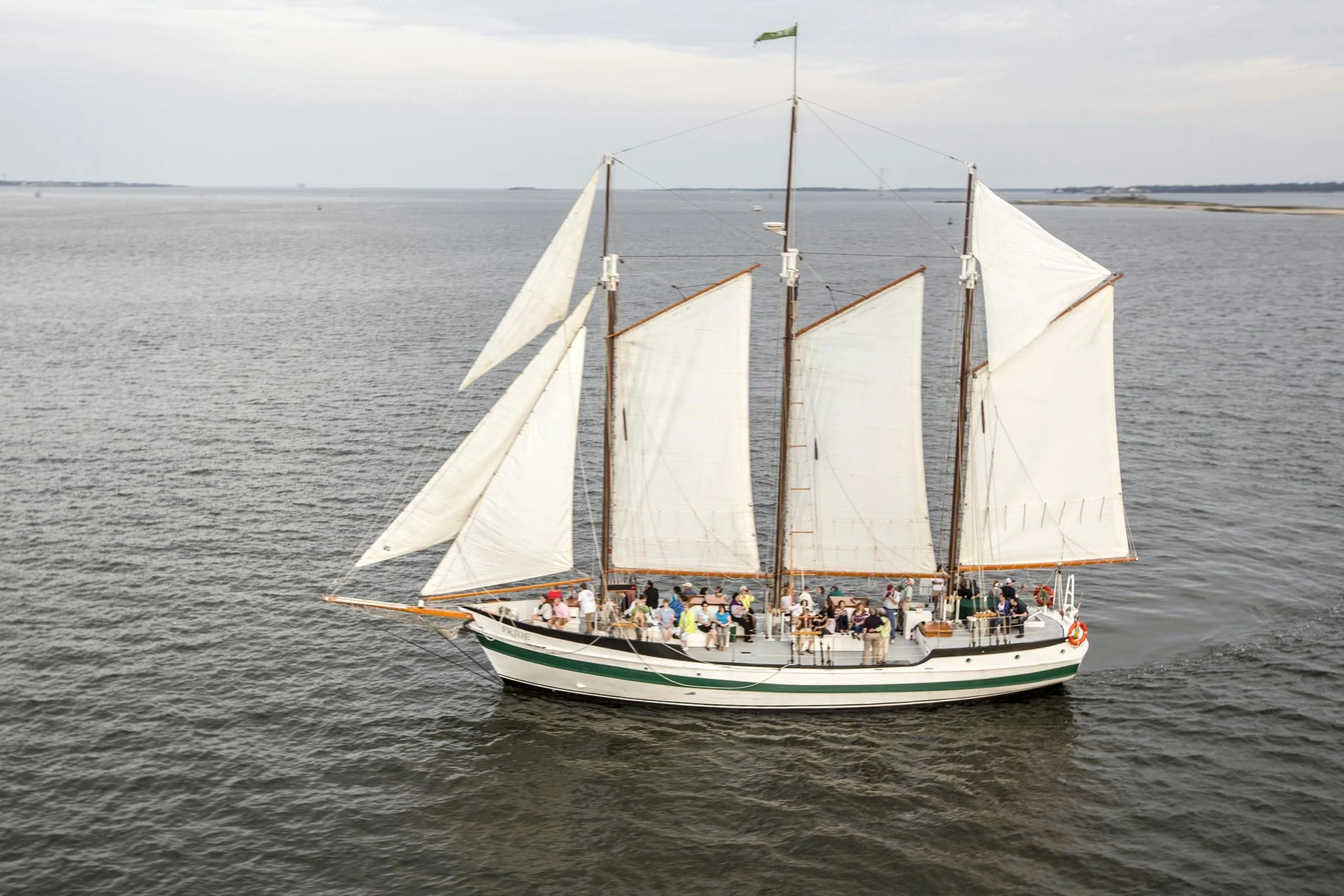 Daytime Dolphin Sail in Charleston - Image 4