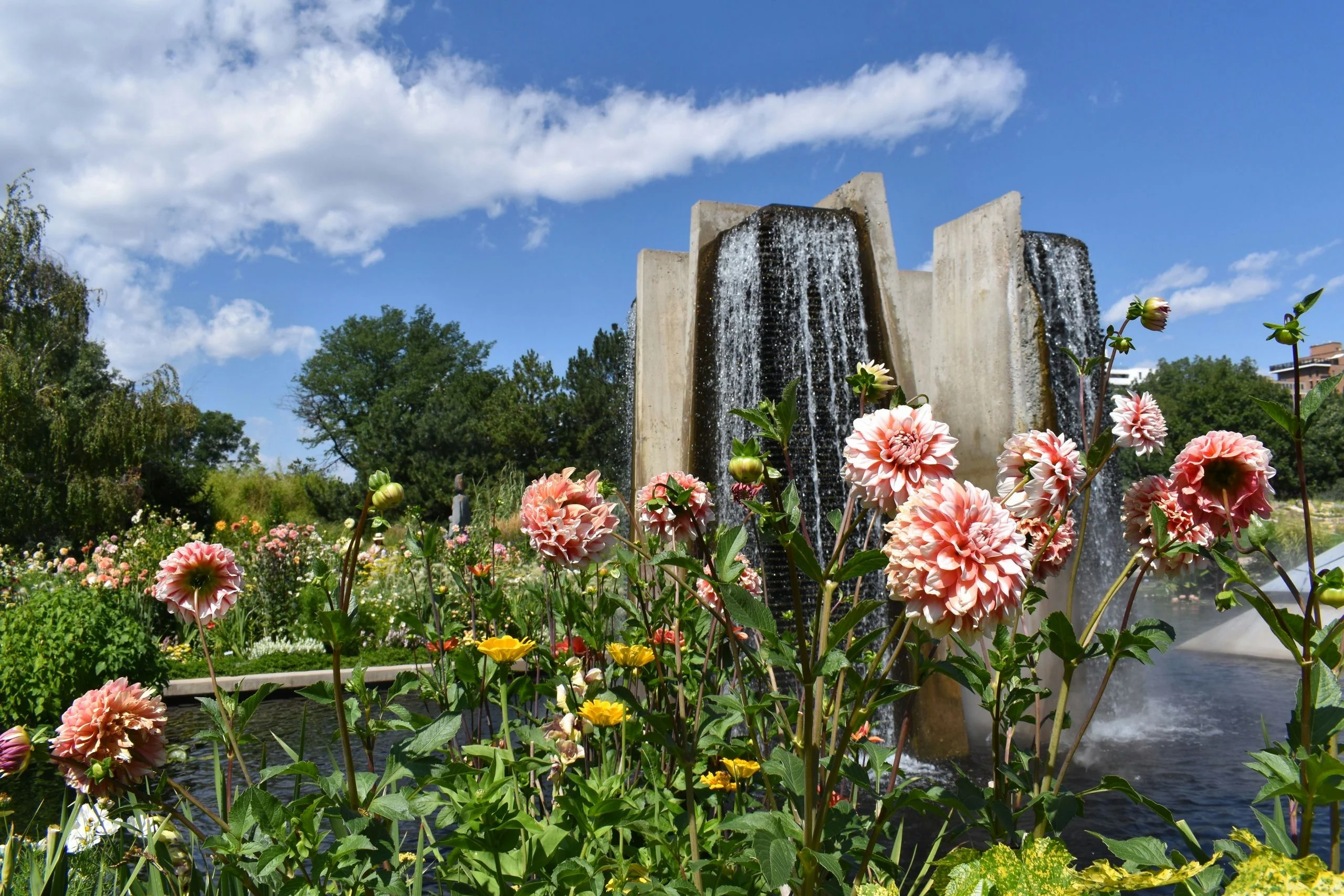 Denver City Private Walking Tour - Image 3