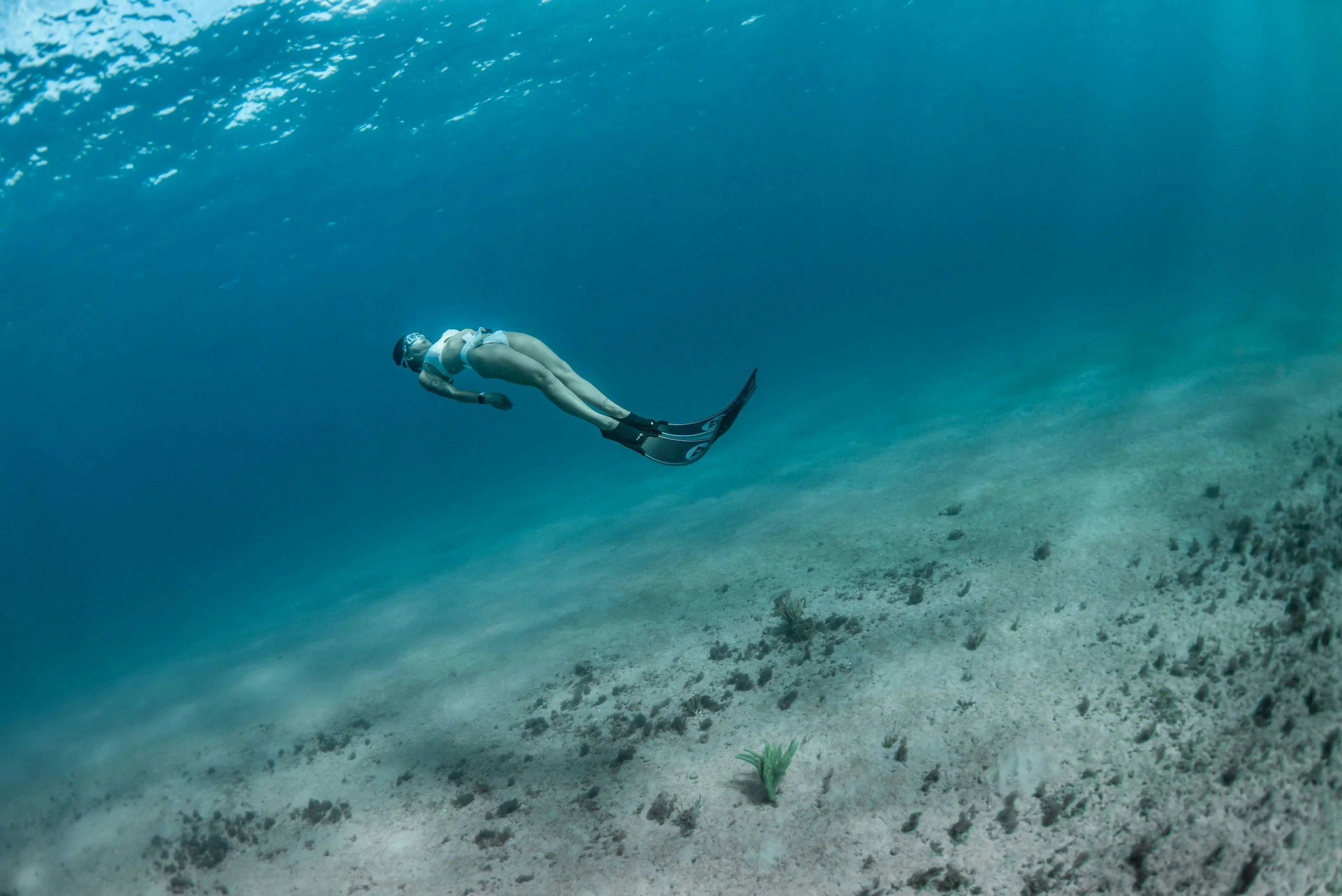 Discover Freediving Experience