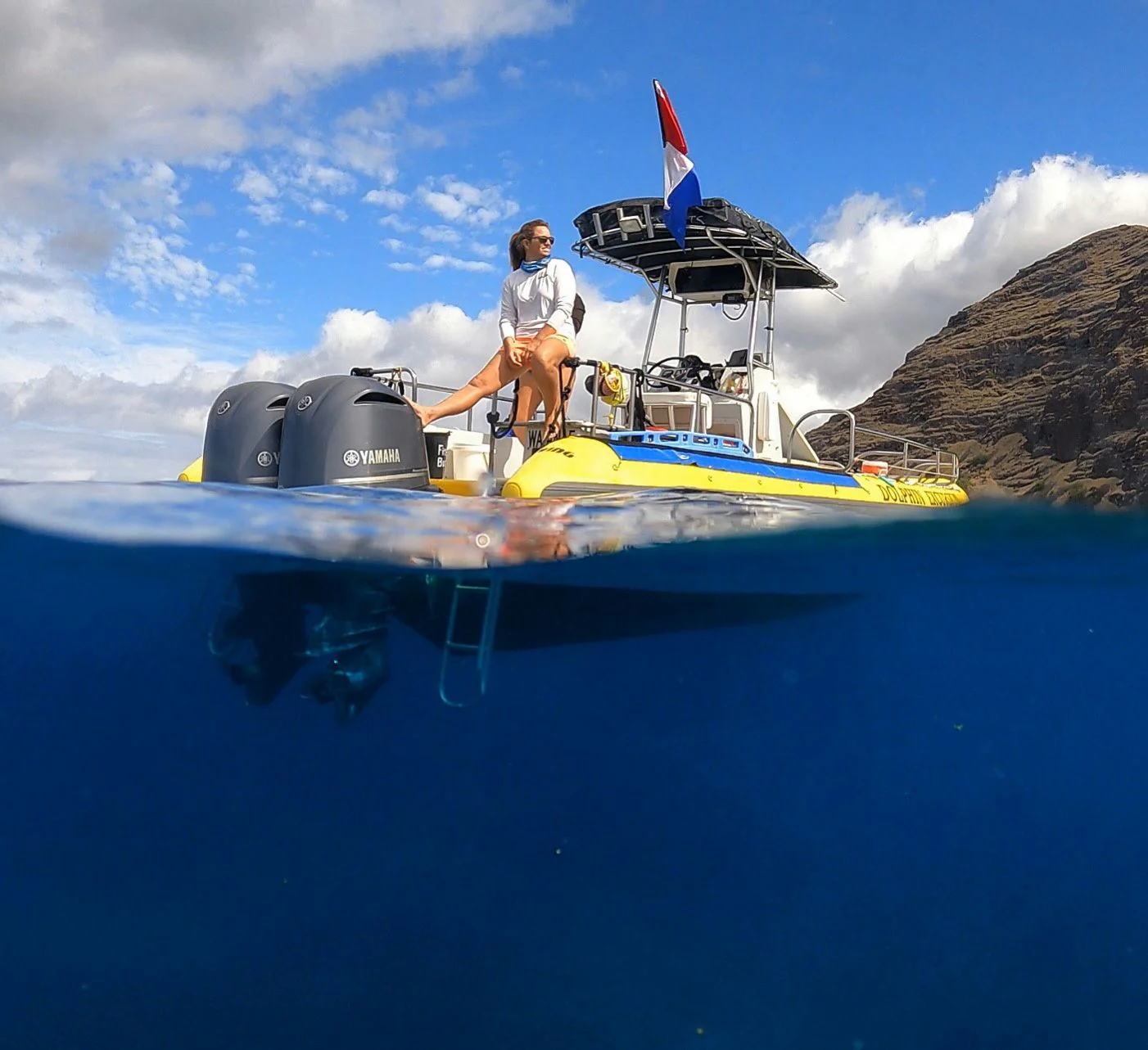 Dolphin Tour in Oahu - Image 2