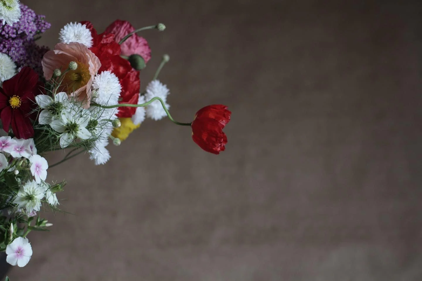 Dried Florals Workshop - Image 4