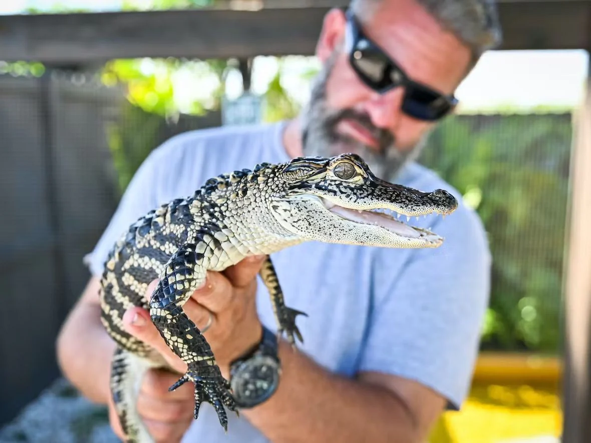 Everglades Airboat Tour & Animal Sanctuary Admission - Image 2