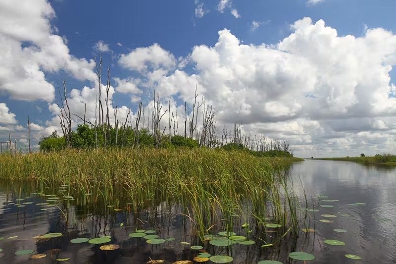 Everglades Airboat Tour & Animal Sanctuary Admission - Image 6