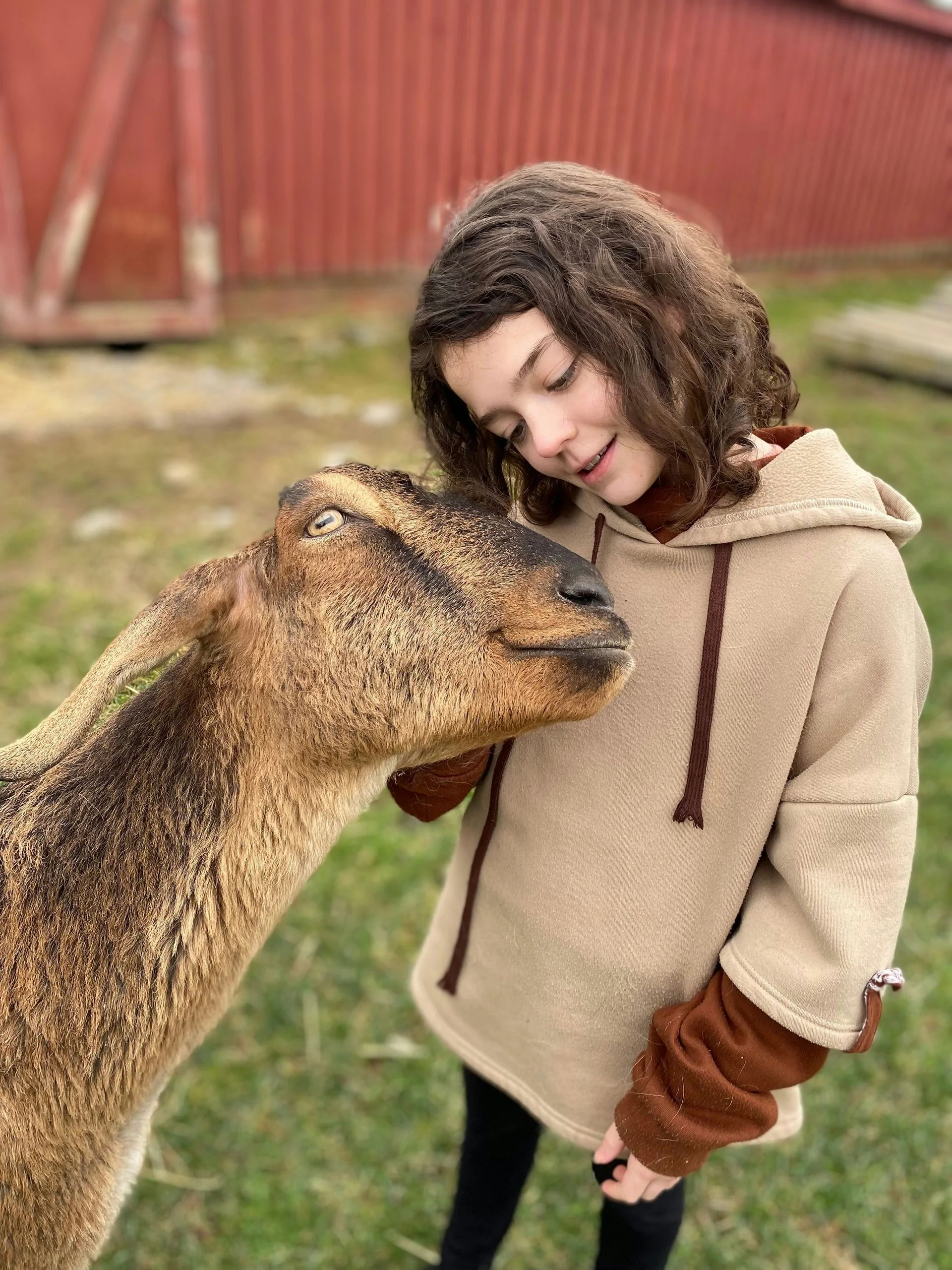 Farm Sanctuary Tour in Watkins Glen - Image 3