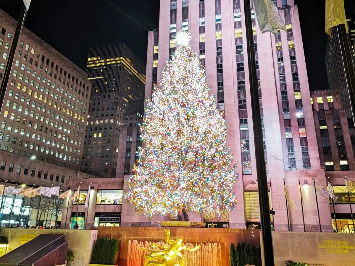 Festive NYC Holidays Lights Luxury Bus Tour - Image 3