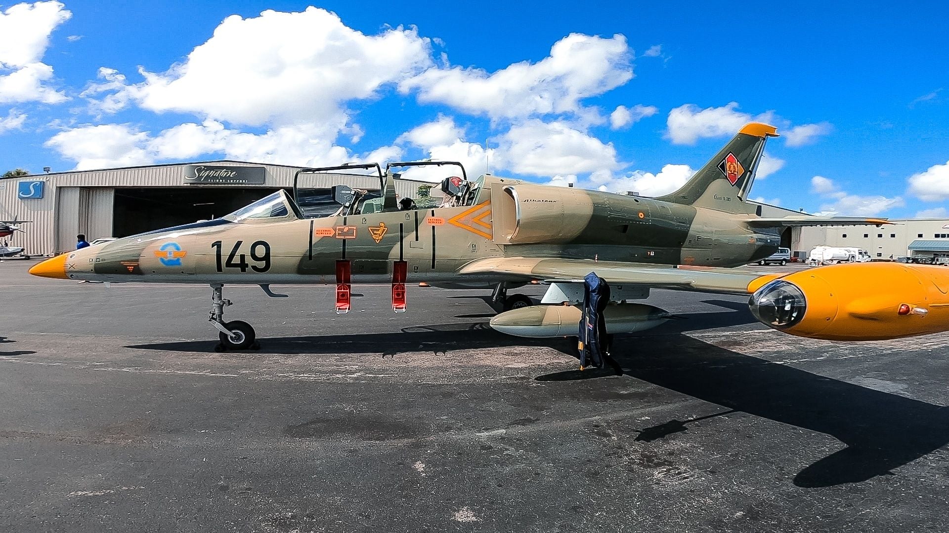 Fly a L-39 Albatros Jet Fighter - Image 5