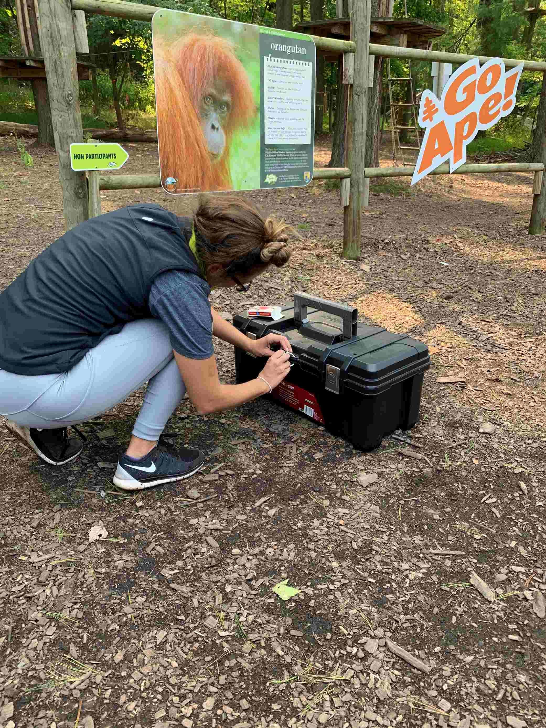 Memphis Forest Escape Game with Go Ape - Image 3