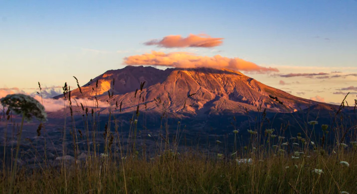 Full Day Mt. St. Helens National Monument Tour from Seattle - Image 4