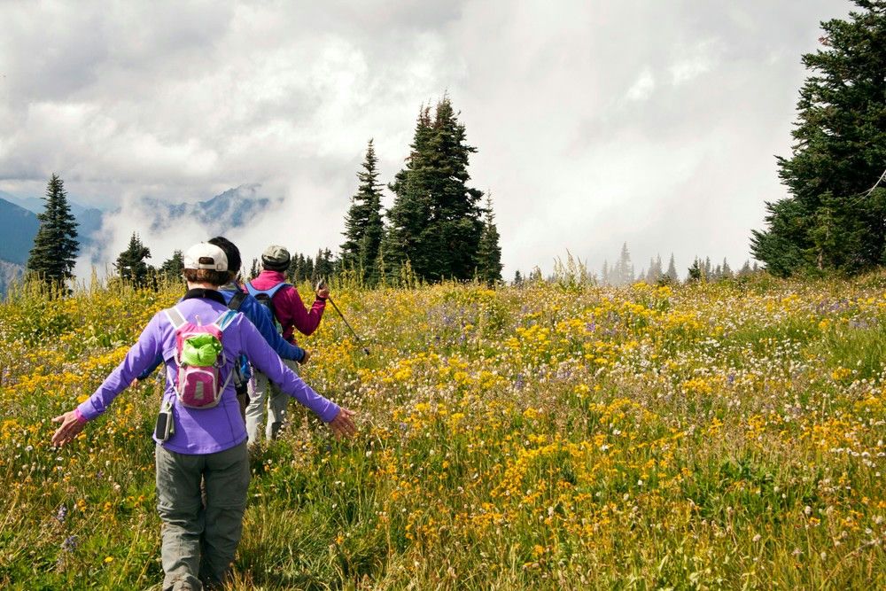 Full Day Olympic National Park Tour from Seattle - Image 2